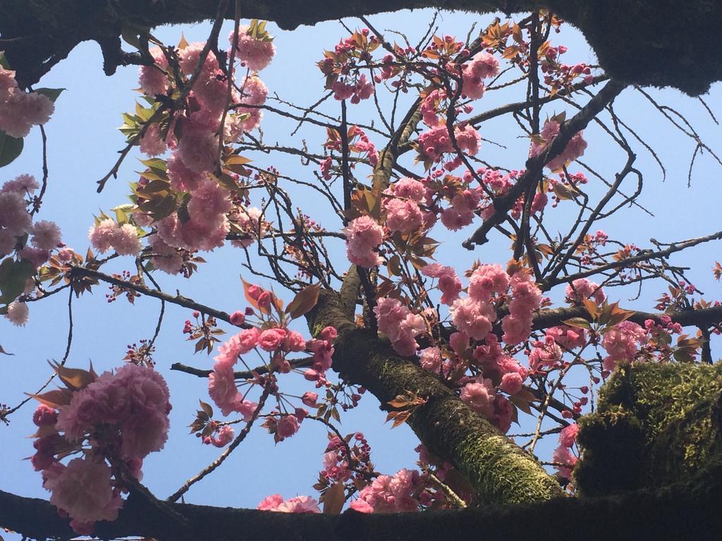 Il Cantelino Padova Oda fotoğraf